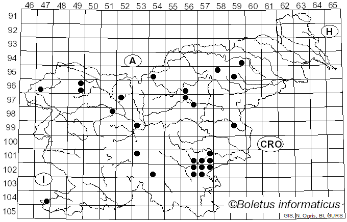 <i>Inocybe nitidiuscula</i> (Britzelm.) Lapl. (1895)