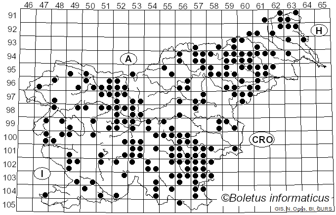 <i>Bjerkandera adusta</i> (Willd.) P. Karst. (1880)