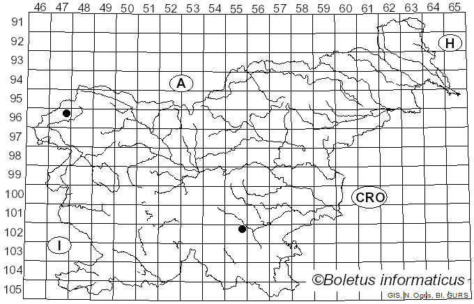<i>Collema polycarpon</i> Hoffm. (1796)