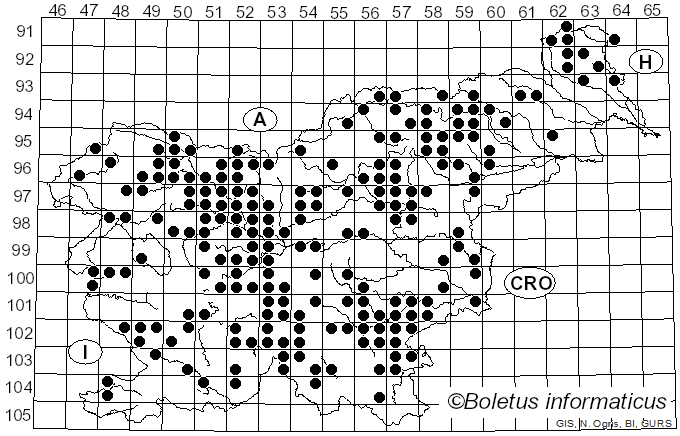 <i>Sarcodon imbricatus</i> (L.) P. Karst. (1881)