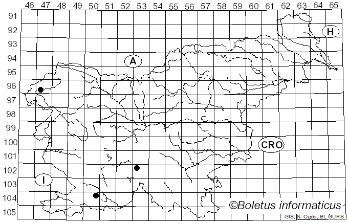 <i>Coprinopsis pseudonivea</i> (Bender & Uljé) Redhead, Vilgalys & Moncalvo (2001)