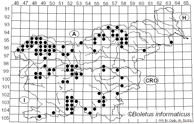 <i>Cladonia</i> P. Browne (1756)