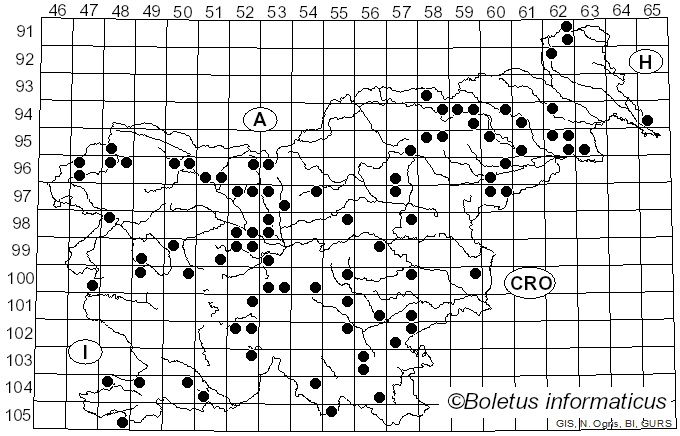 <i>Nectria</i> (Fr.) Fr. (1849)