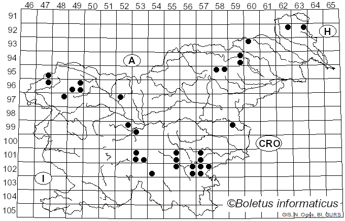 <i>Russula postiana</i> Romell