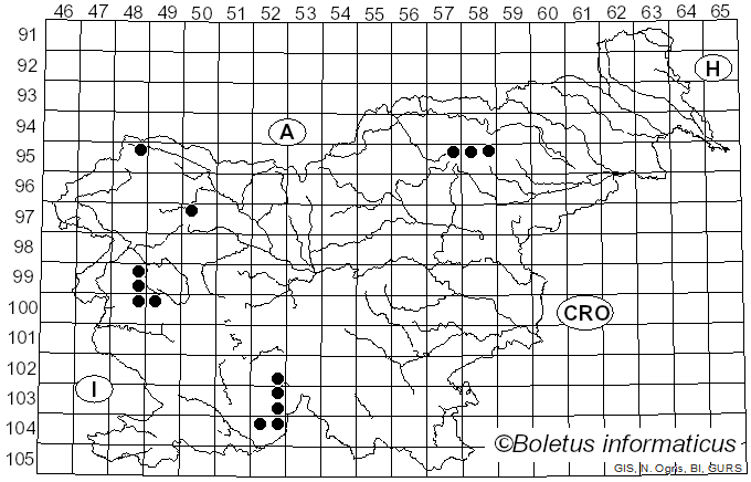<i>Biatora epixanthoides</i> (Nyl.) Diederich (1989)
