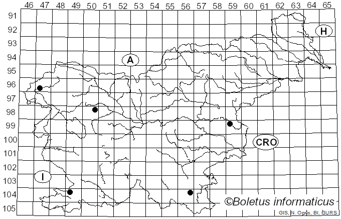 <i>Macrolepiota fuliginosa</i> (Barla) Bon (1977)