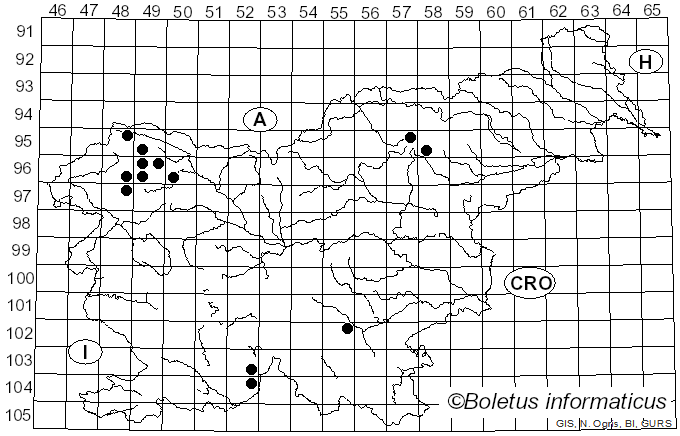 <i>Bryoria capillaris</i> (Ach.) Brodo & D. Hawksw. (1977)