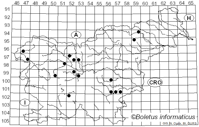 <i>Pappia fissilis</i> (Berk. & M.A. Curtis) Zmitr. (2018)