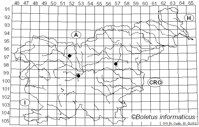 <i>Calodon suaveolens</i> (Scop.) P. Karst. (1881)