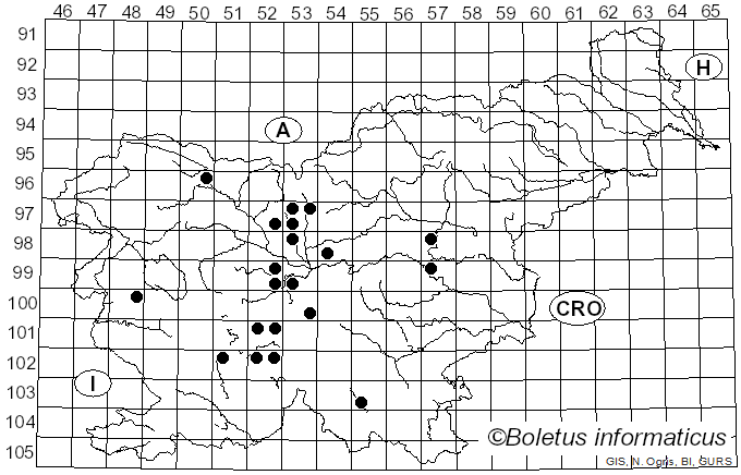 <i>Cladosporium</i> Link (1816)