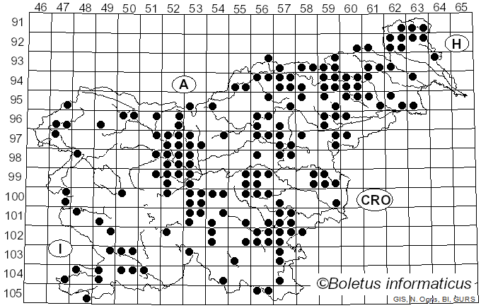 <i>Auricularia auricula-judae</i> (Bull.) Quél. (1886)
