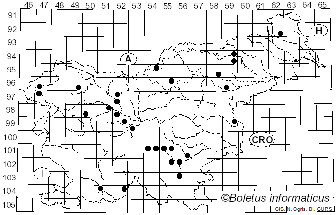 <i>Mycena viscosa</i> Secr. ex Maire (1910)