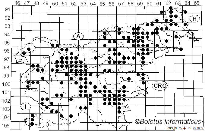 <i>Tricholoma columbetta</i> (Fr.) P. Kumm. (1871)