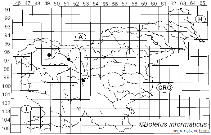 <i>Calocybe obscurissima</i> (A. Pearson) M.M. Moser (1967)