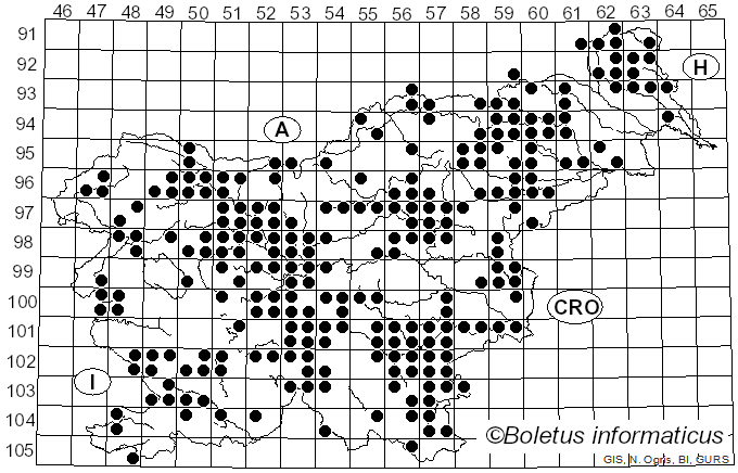 <i>Macrolepiota procera</i> (Scop.) Singer (1948)