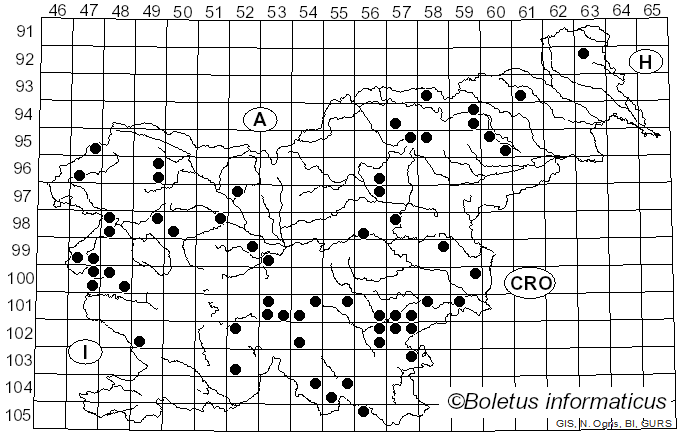 <i>Russula acrifolia</i> Romagn. (1997)
