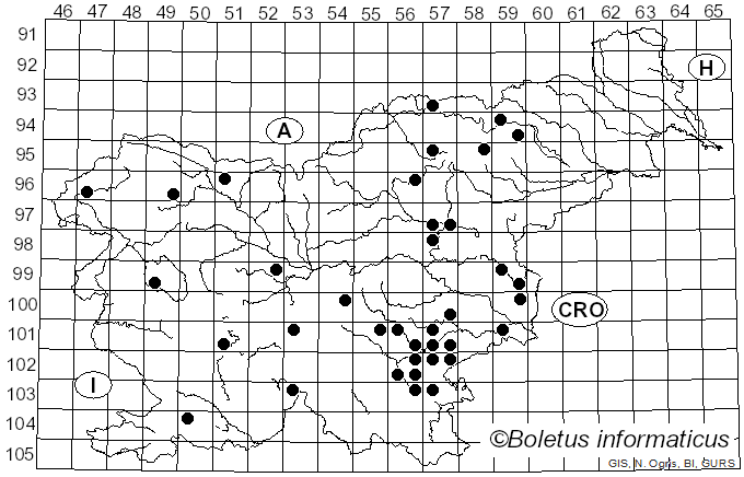 <i>Lactarius tabidus</i> Fr. (1838)