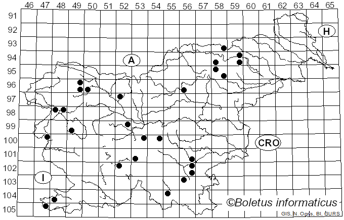 <i>Cortinarius salor</i> Fr.