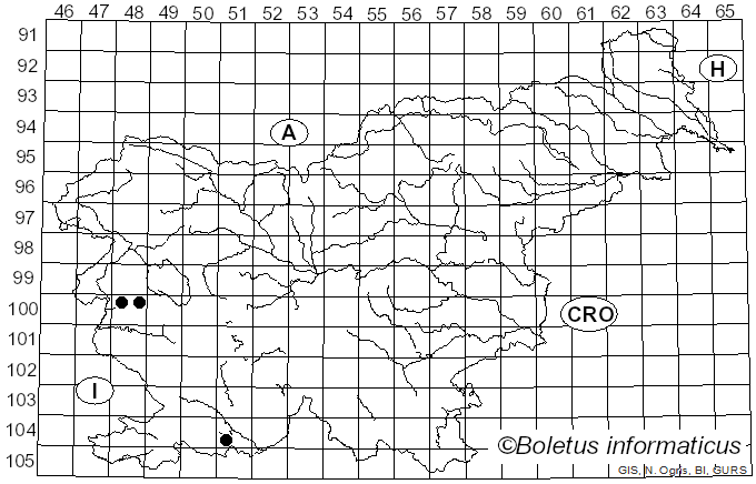 <i>Libertella</i> Desm. (1830)