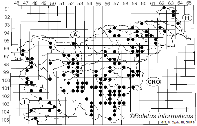 <i>Marasmius rotula</i> (Scop.) Fr. (1838)