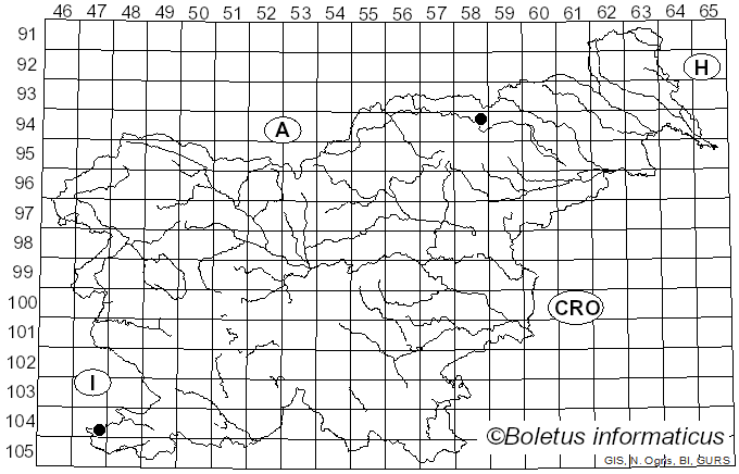 <i>Mycena seynii</i> Quél. (1877)