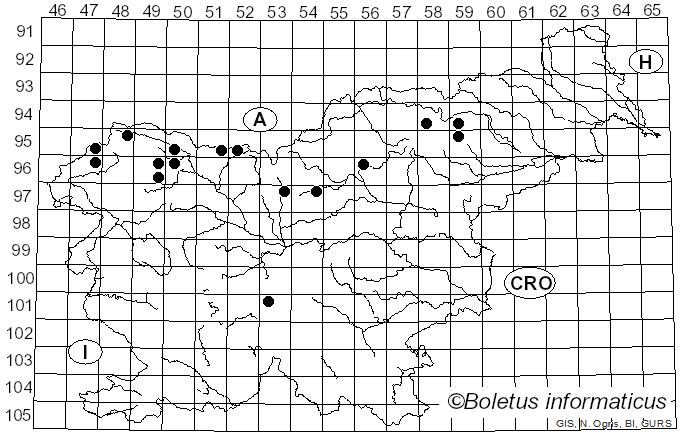 <i>Rutstroemia bulgarioides</i> (Rabenh.) P. Karst.
