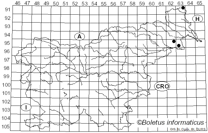 <i>Amanita griseofulva</i> Hanss, P-A. Moreau, Dima & D. Varga (2024)