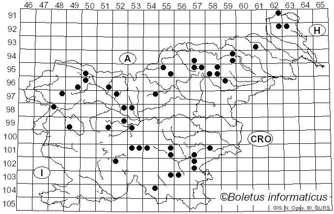<i>Amylostereum areolatum</i> (Chaillet) Boidin (1958)