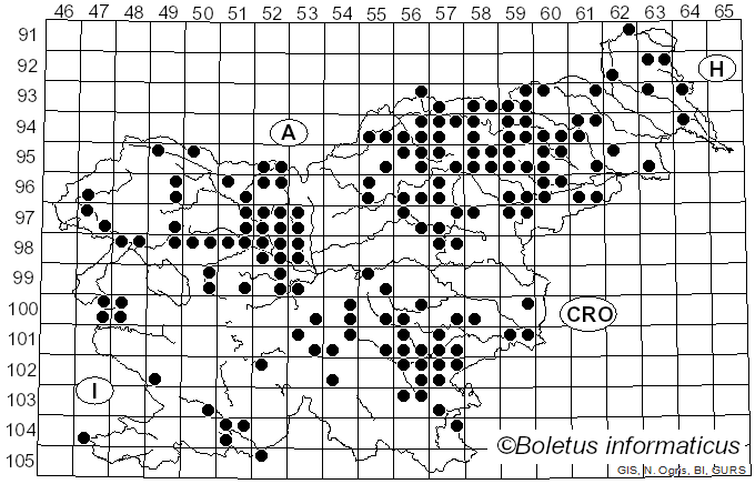 <i>Phaeolus schweinitzii</i> (Fr.) Pat. (1900)