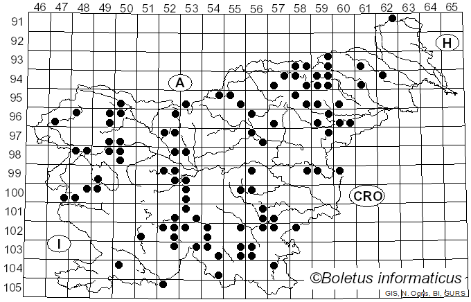 <i>Trichaptum abietinum</i> (Dicks.) Ryvarden (1972)