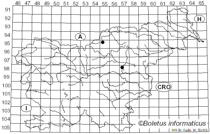 <i>Puccinia chaerophylli</i> Purton (1821)