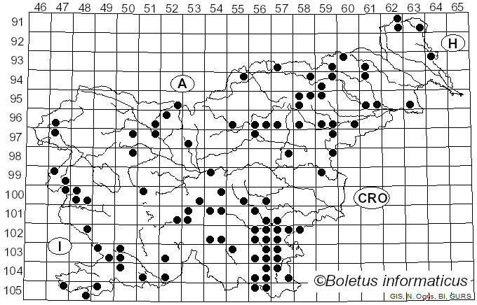 <i>Butyriboletus</i> D. Arora & J.L. Frank (2014)