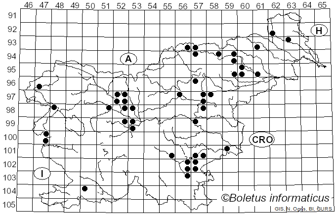 <i>Stropharia rugosoannulata</i> Farl. ex Murrill (1922)