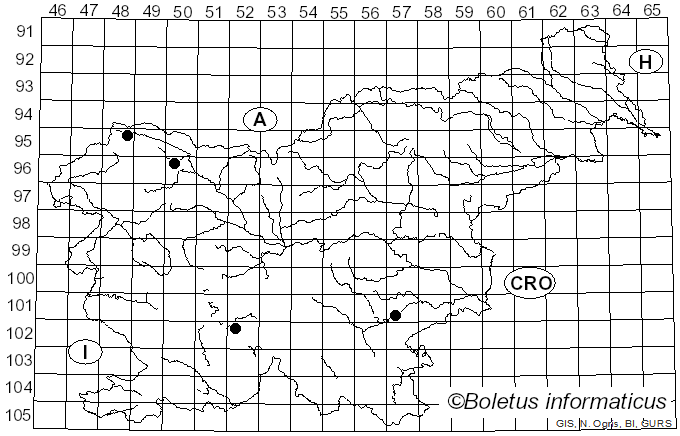 <i>Monilinia</i> Honey (1928)