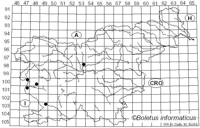 <i>Tricholosporum</i> Guzmán (1975)