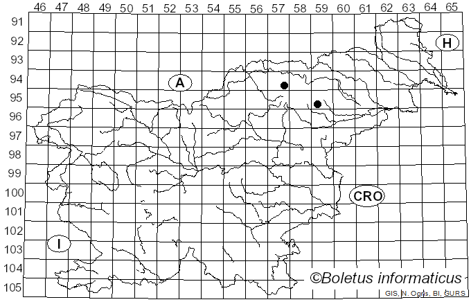 <i>Cortinarius occidentalis</i> var. <i>obscurus</i> (M.M. Moser) Quadr. (1985)