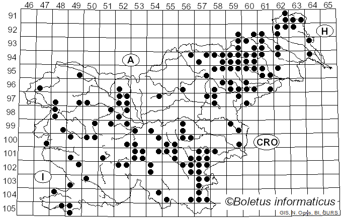 <i>Stereum subtomentosum</i> Pouzar (1964)