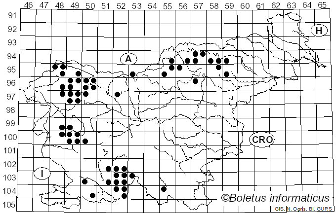 <i>Melanelixia fuliginosa</i> subsp. <i>glabratula</i> (Lamy) J.R. Laundon (2006)
