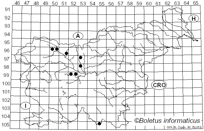 <i>Thyronectria coryli</i> (Fuckel) Jaklitsch & Voglmayr (2014)