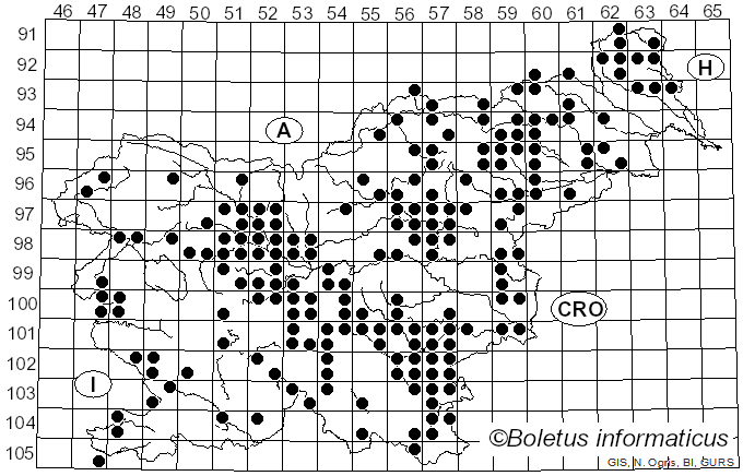 <i>Lactarius quietus</i> (Fr.) Fr. (1838)