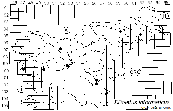 <i>Cortinarius olivellus</i> Rob. Henry (1952)