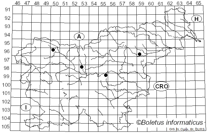<i>Enerthenema papillatum</i> (Pers.) Rostaf. (1876)