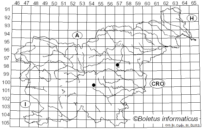 <i>Arrhenia spathulata</i> (Fr.) Redhead (1984)