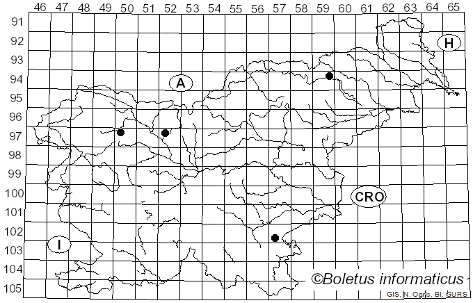 <i>Calonarius pseudoglaucopus</i> (Jul. Schäff. ex M.M. Moser) Niskanen & Liimat. (2022)
