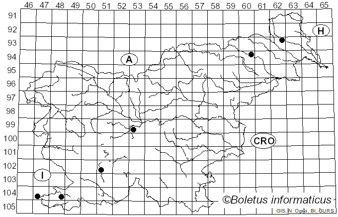 <i>Phyllonorycter</i>