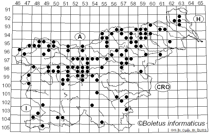 <i>Suillus cavipes</i> (Opat.) A.H. Sm. & Thiers (1964)