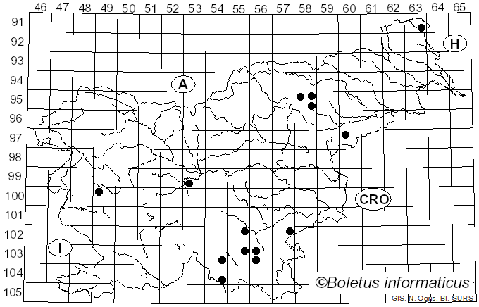 <i>Dentipellis fragilis</i> (Pers.) Donk (1962)