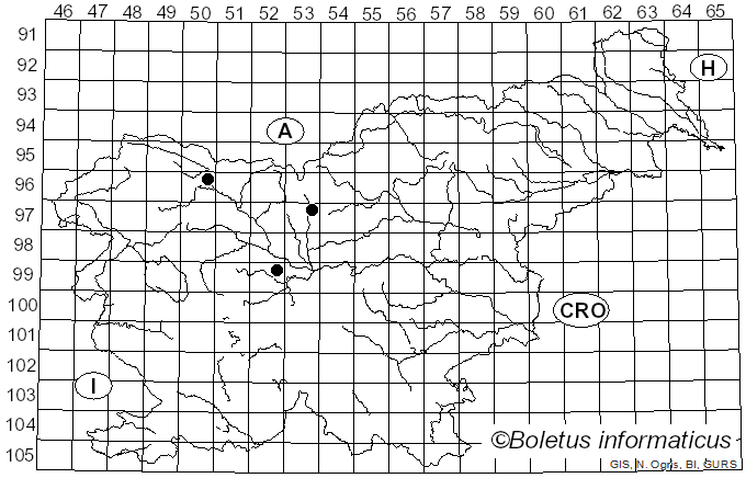 <i>Mycosphaerella ribis</i> (Fuckel) Lindau (1903)