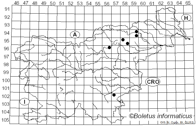 <i>Cortinarius scutulatus</i> (Fr.) Fr.