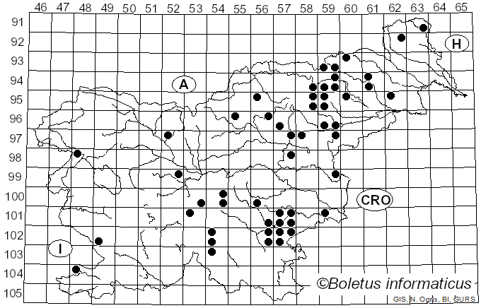 <i>Cortinarius bivelus</i> (Fr.) Fr. (1838)